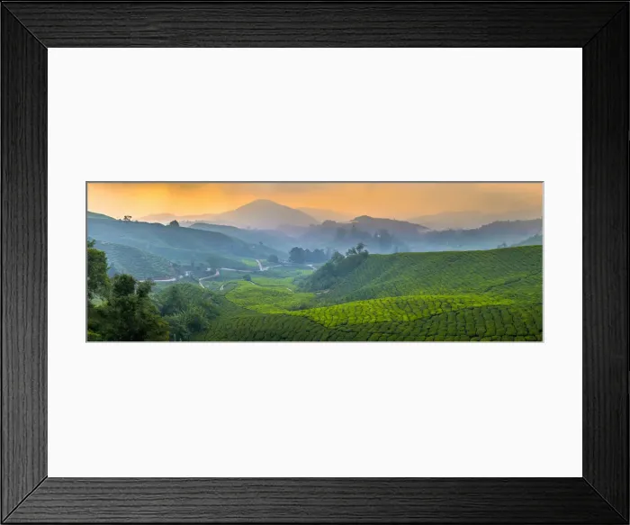 Framed Print : Malaysia, Pahang, Cameron Highlands, Brinchang, Tea Plantation Framed Print : Malaysia, Pahang, Cameron Highlands, Brinchang, Tea Plantation