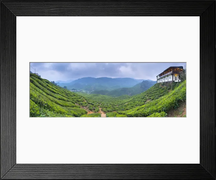 Framed Print : Malaysia, Pahang, Cameron Highlands, Tanah Rata, Cameron Valley Tea Estate, Cafe Framed Print : Malaysia, Pahang, Cameron Highlands, Tanah Rata, Cameron Valley Tea Estate, Cafe