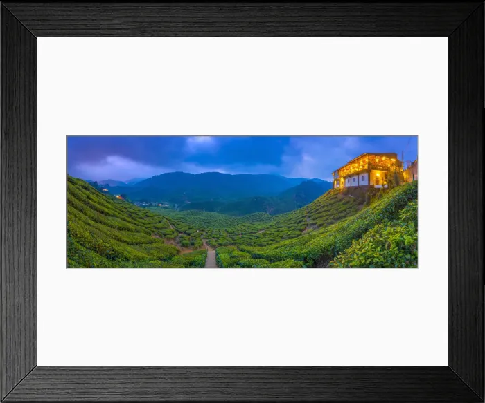 Framed Print : Malaysia, Pahang, Cameron Highlands, Tanah Rata, Cameron Valley Tea Estate, Cafe Framed Print : Malaysia, Pahang, Cameron Highlands, Tanah Rata, Cameron Valley Tea Estate, Cafe