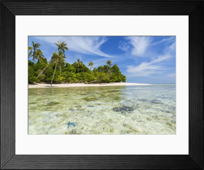 Framed Print : Idyllic tropical beach & starfish, nr Semporna, Sabah, Borneo, Malaysia Framed Print : Idyllic tropical beach & starfish, nr Semporna, Sabah, Borneo, Malaysia