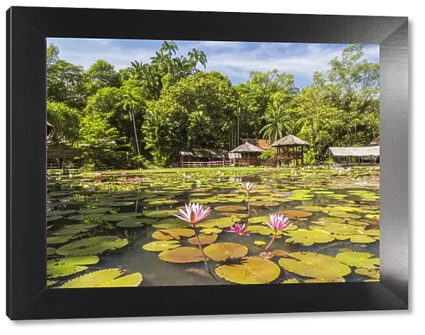 Heritage Cultural Village & water lillies, Sabah State Museum, Kota Kinabalu, Sabah
