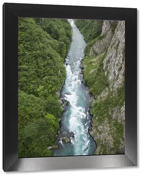 Montenegro, Durmitor National Park, Rapids of the Piva River by the Bosnian border