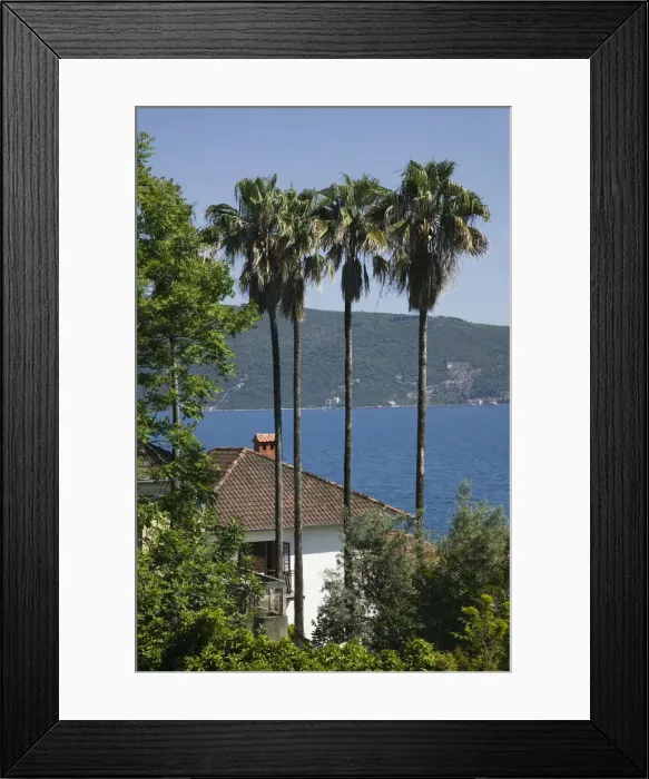 Framed Print : Montenegro, Adriatic coast, Bay of Kotorska, Herceg Novi Framed Print : Montenegro, Adriatic coast, Bay of Kotorska, Herceg Novi