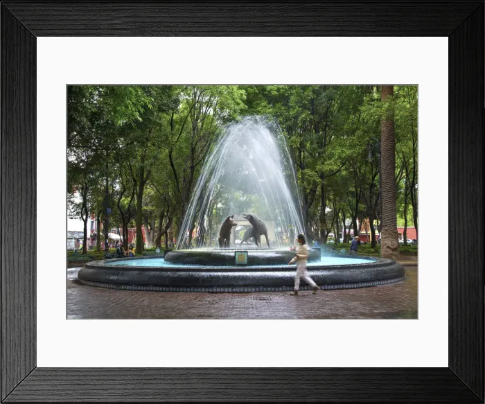 Framed Print : Mexico, Mexico City, Coyoacan, Place of Coyotes, Historic Neighborhood, Plaza del Framed Print : Mexico, Mexico City, Coyoacan, Place of Coyotes, Historic Neighborhood, Plaza del