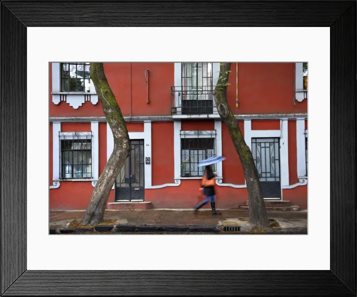 Framed Print : Mexico, Mexico City, Coyoacan, Place Of The Coyotes, Historic Neighborhood, Residential Framed Print : Mexico, Mexico City, Coyoacan, Place Of The Coyotes, Historic Neighborhood, Residential