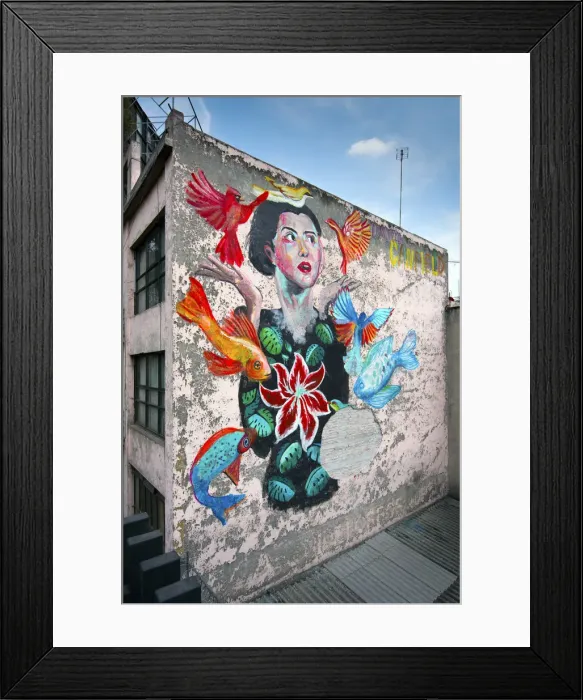 Framed Print : Mexico, Mexico City, Wall Mural of the Artist Frida Kahlo