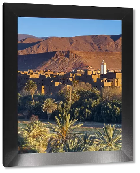 Tinerhir Kasbahs & Palmery illuminated at sunset, Tinghir, Morocco