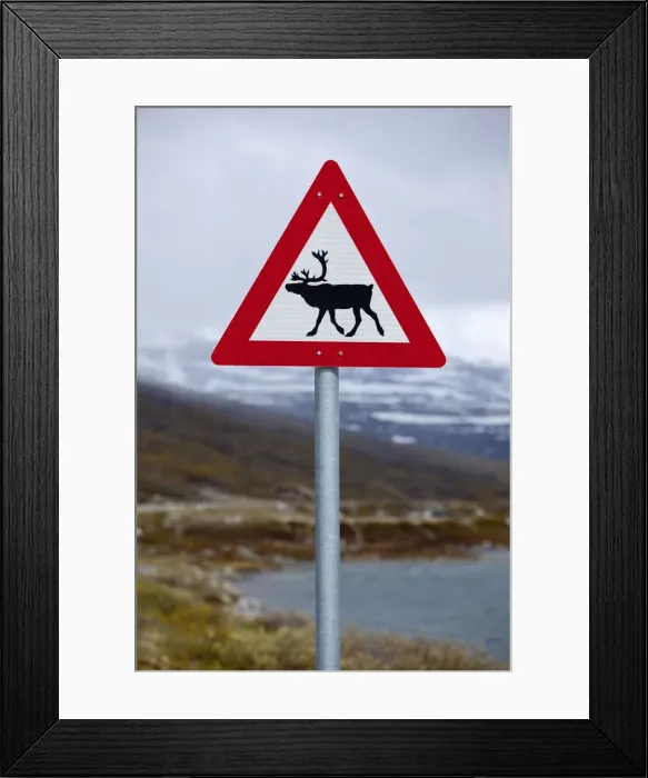Framed Print : Reindeer road sign on mountain pass, Breiddalen, More og Romsdal, Norway Framed Print : Reindeer road sign on mountain pass, Breiddalen, More og Romsdal, Norway