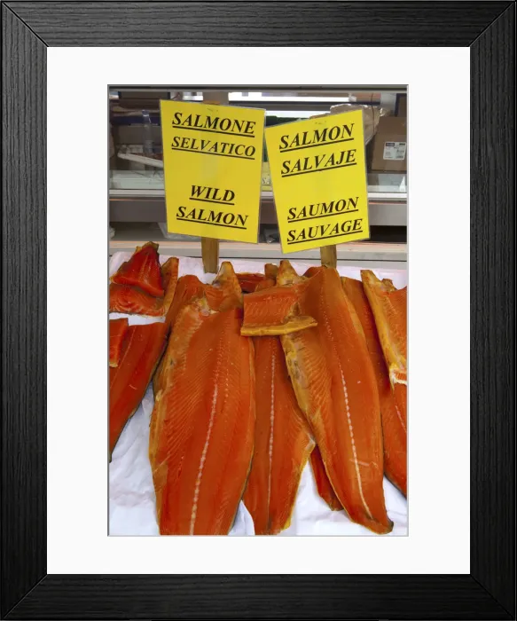 Framed Print : Fresh Wild Salmon on sale in Bergens famous Fish Market, Bergen, Hordaland, Norway Framed Print : Fresh Wild Salmon on sale in Bergens famous Fish Market, Bergen, Hordaland, Norway