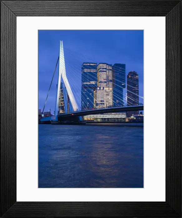 Framed Print : Netherlands, Rotterdam, Erasmusbrug bridge and new commerical towers at the renovated Framed Print : Netherlands, Rotterdam, Erasmusbrug bridge and new commerical towers at the renovated