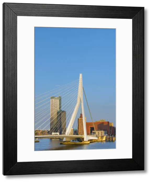 Framed Print : Netherlands, South Holland, Rotterdam, Erasmusbrug, Erasmus Bridge Framed Print : Netherlands, South Holland, Rotterdam, Erasmusbrug, Erasmus Bridge