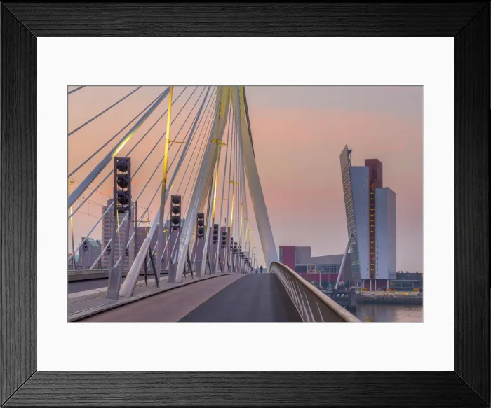 Framed Print : Netherlands, South Holland, Rotterdam, Erasmusbrug, Erasmus Bridge Framed Print : Netherlands, South Holland, Rotterdam, Erasmusbrug, Erasmus Bridge