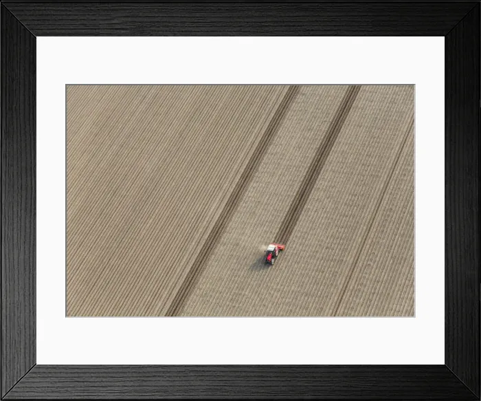 Framed Print : Tractor in fields, North Holland, Netherlands Framed Print : Tractor in fields, North Holland, Netherlands
