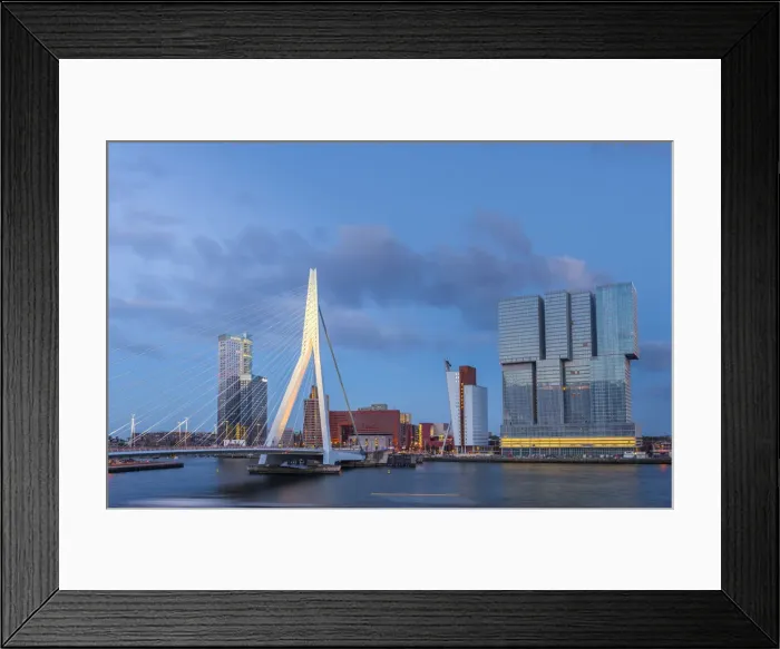 Framed Print : Netherlands, South Holland, Rotterdam, Erasmusbrug, Erasmus Bridge and Wilhelminakade 137