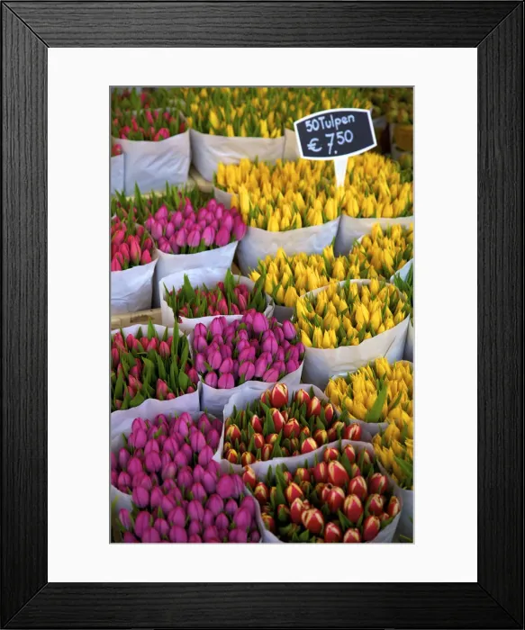 Framed Print : Bloemenmarkt Flower Market, Amsterdam, Netherlands Framed Print : Bloemenmarkt Flower Market, Amsterdam, Netherlands