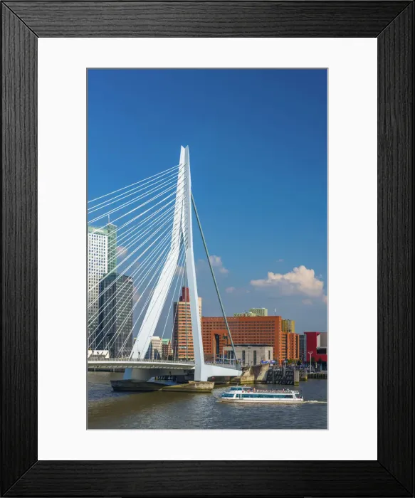 Framed Print : Netherlands, South Holland, Rotterdam, Erasmusbrug, Erasmus Bridge Framed Print : Netherlands, South Holland, Rotterdam, Erasmusbrug, Erasmus Bridge