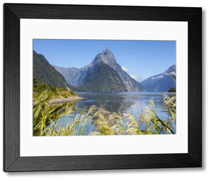 Framed Print : Mitre Peak, Milford Sound, Fiordland National Park, South Island, New Zealand Framed Print : Mitre Peak, Milford Sound, Fiordland National Park, South Island, New Zealand