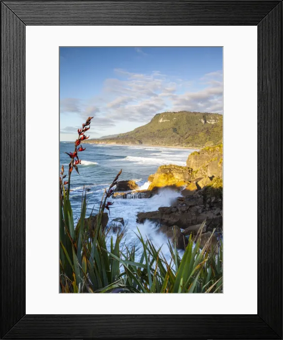 Framed Print : The coast at Punakaiki, West Coast, South Island, New Zealand