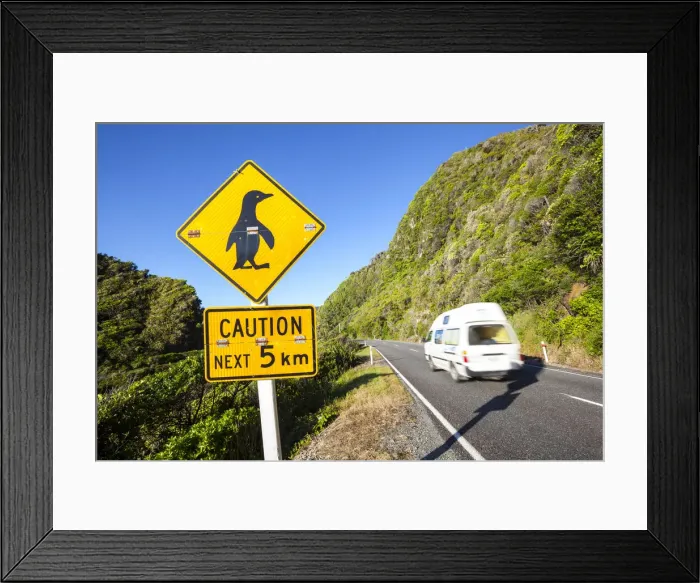 Framed Print : Penguin warning sign & coastal road, Punakaiki, West Coast, South Island, New Zealand Framed Print : Penguin warning sign & coastal road, Punakaiki, West Coast, South Island, New Zealand