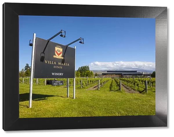Villa Maria Estate, Blenheim, Marlborough, South Island, New Zealand
