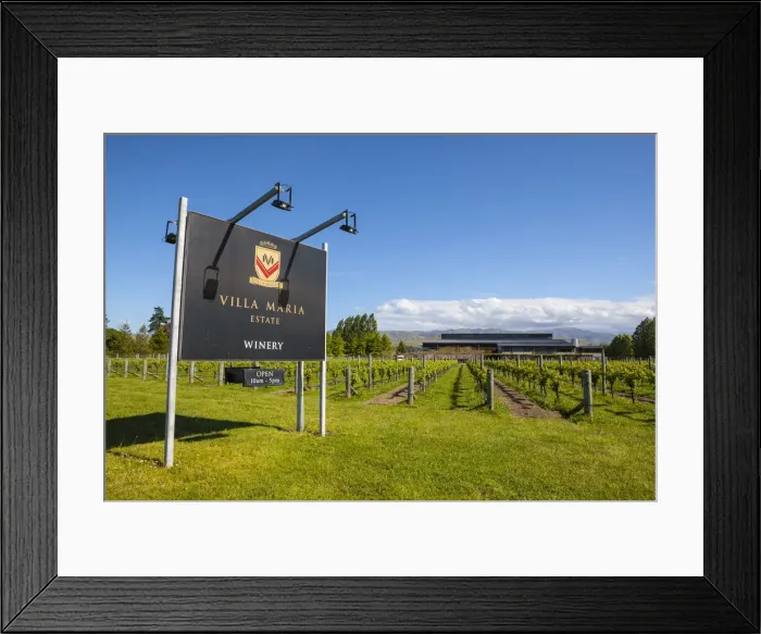 Framed Print : Villa Maria Estate, Blenheim, Marlborough, South Island, New Zealand Framed Print : Villa Maria Estate, Blenheim, Marlborough, South Island, New Zealand