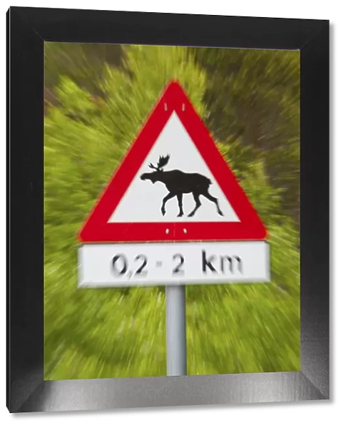 Elk Road Sign, Nordland, Norway