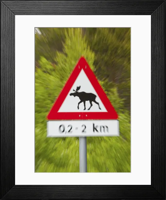 Framed Print : Elk Road Sign, Nordland, Norway Framed Print : Elk Road Sign, Nordland, Norway