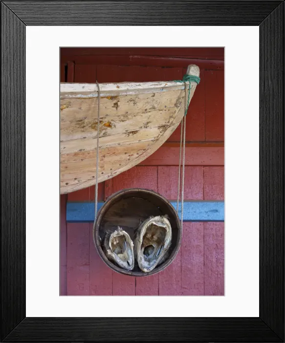 Framed Print : Old Fishing boat and fish head detail, A, Moskenesoy, Lofoten, Nordland, Norway Framed Print : Old Fishing boat and fish head detail, A, Moskenesoy, Lofoten, Nordland, Norway