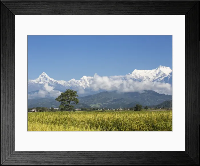 Framed Print : Nepal, Pokara, View of Himalayas Framed Print : Nepal, Pokara, View of Himalayas