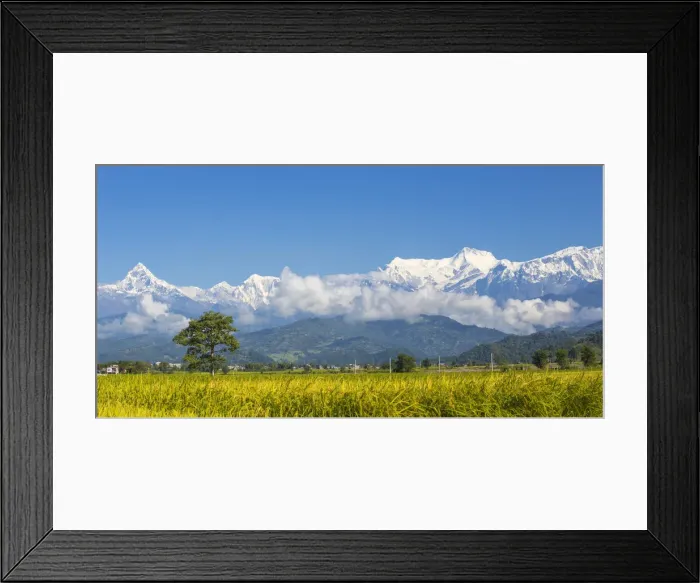 Framed Print : Nepal, Pokara, View of Machupuchara Framed Print : Nepal, Pokara, View of Machupuchara