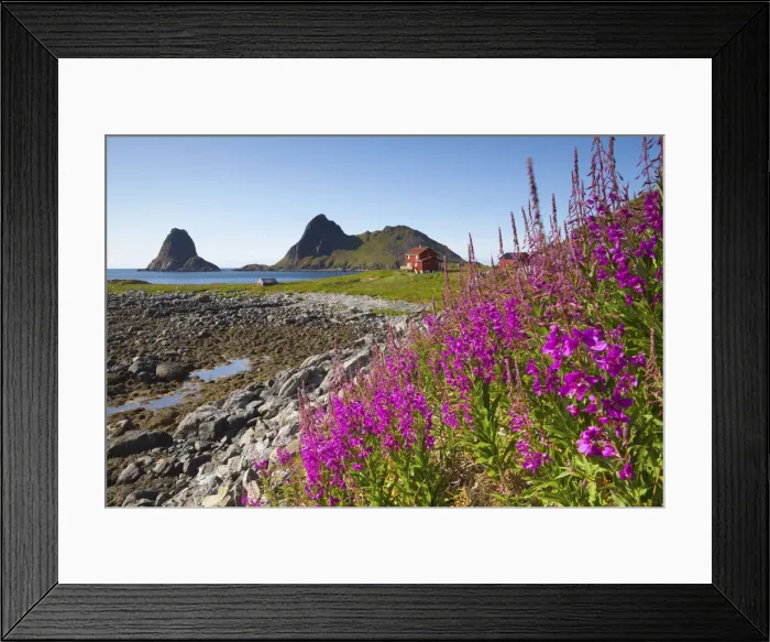 Framed Print : Coastal landscape near Nykvag, Vesteralen, Nordland, Norway