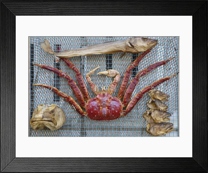 Framed Print : Shop front decoration, Henningsvaer, Austvagoya, Lofoten, Nordland, Norway Framed Print : Shop front decoration, Henningsvaer, Austvagoya, Lofoten, Nordland, Norway