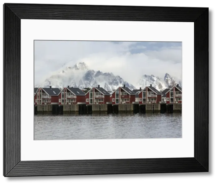 Framed Print : Svolvaer, Lofoten, Norway Framed Print : Svolvaer, Lofoten, Norway