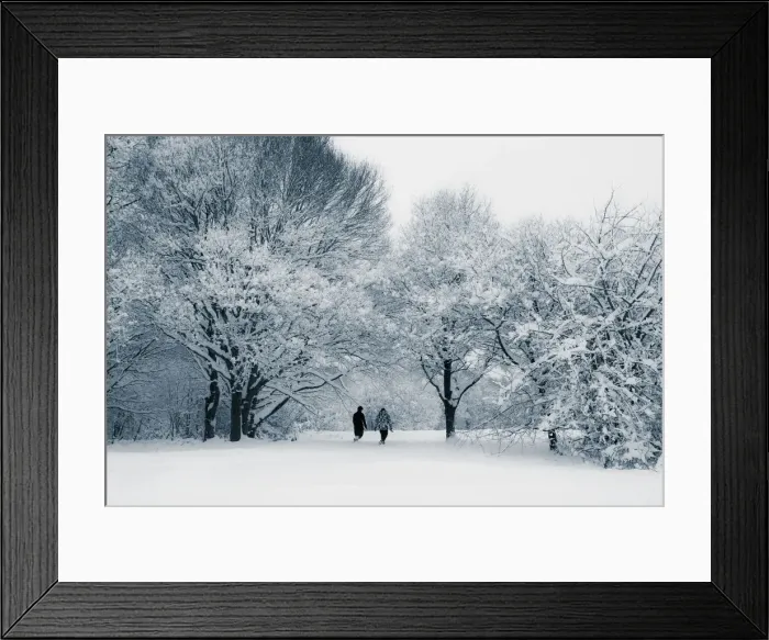Framed Print : Woods in Snow, England
