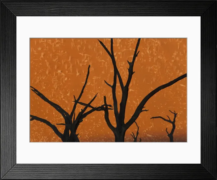 Framed Print : Dead trees in dry clay pan, Dead Vlei, Soussusvlei, Namibia, Africa Framed Print : Dead trees in dry clay pan, Dead Vlei, Soussusvlei, Namibia, Africa