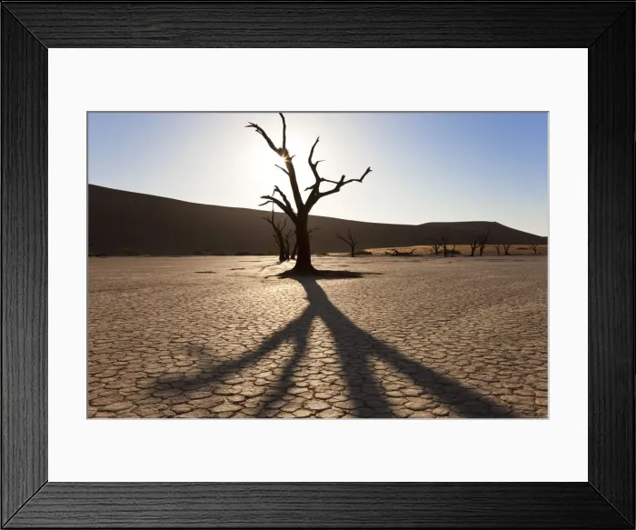 Framed Print : Dead trees in dried clay pan, Namib Naukluft National Park, Namibia Framed Print : Dead trees in dried clay pan, Namib Naukluft National Park, Namibia