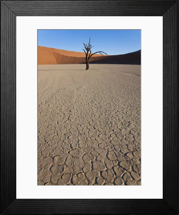Framed Print : Dead trees in dried clay pan, Namib Naukluft National Park, Namibia Framed Print : Dead trees in dried clay pan, Namib Naukluft National Park, Namibia