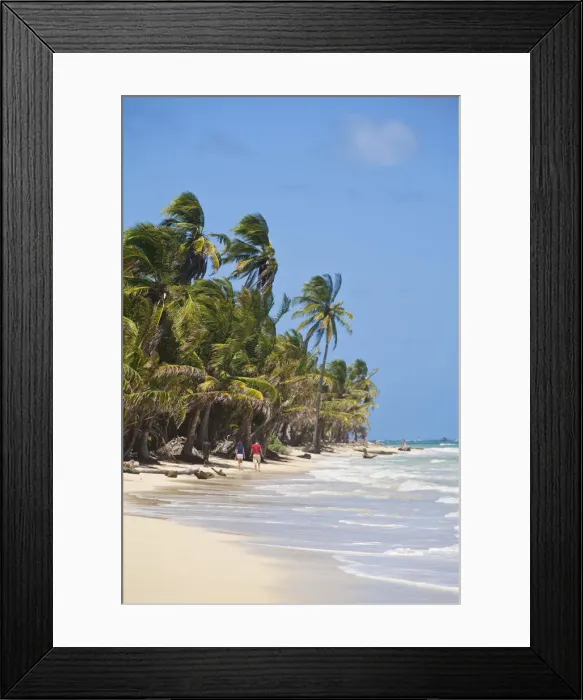 Framed Print : Nicaragua, Corn Islands, Little Corn Island, Iguana Beach Framed Print : Nicaragua, Corn Islands, Little Corn Island, Iguana Beach