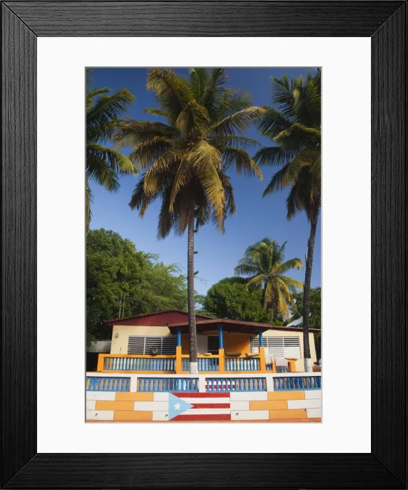 Framed Print : Puerto Rico, South Coast, Guanica, house with Puerto Rican flag mural Framed Print : Puerto Rico, South Coast, Guanica, house with Puerto Rican flag mural