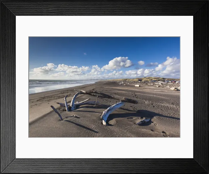 Framed Print : New Zealand, North Island, Wanganui, Castlecliff Beach, dunes Framed Print : New Zealand, North Island, Wanganui, Castlecliff Beach, dunes