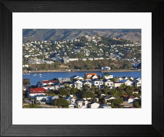 Framed Print : New Zealand, North Island, Wellington, elevated view of suburbs from Mt. Victoria Framed Print : New Zealand, North Island, Wellington, elevated view of suburbs from Mt. Victoria