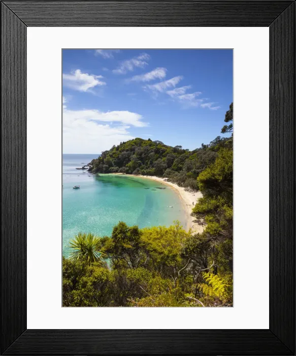 Framed Print : Elevated view over Whale Bay, Tutukaka Coast, Northland, North Island, New Zealand Framed Print : Elevated view over Whale Bay, Tutukaka Coast, Northland, North Island, New Zealand