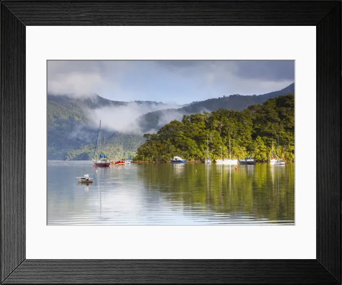 Framed Print : Ngakuta Bay, Queen Charlotte Sound, Marlborough Sounds, South Island, New Zealand Framed Print : Ngakuta Bay, Queen Charlotte Sound, Marlborough Sounds, South Island, New Zealand
