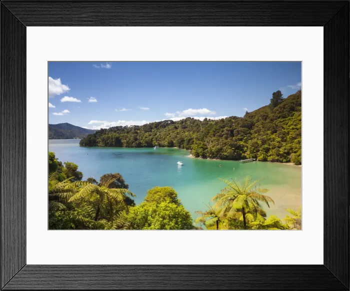 Framed Print : Elevated view over Picturesque Bay in Idyllic Kenepuru Sound, Marlborough Sounds Framed Print : Elevated view over Picturesque Bay in Idyllic Kenepuru Sound, Marlborough Sounds