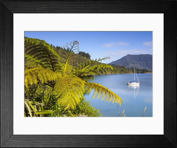 Framed Print : Yacht anchored in the picturesque Kenepuru Sound, Marlborough Sounds, South Island