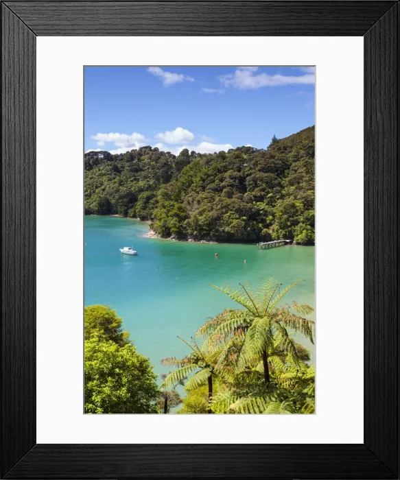 Framed Print : Elevated view over Picturesque Bay in Idyllic Kenepuru Sound, Marlborough Sounds Framed Print : Elevated view over Picturesque Bay in Idyllic Kenepuru Sound, Marlborough Sounds
