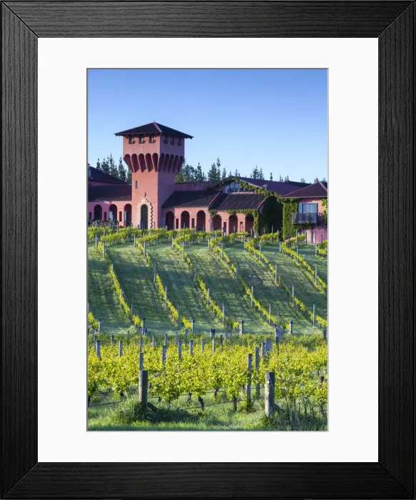 Framed Print : Highfield Vineyard, Renwick, Blenheim, Marlborough, South Island, New Zealand Framed Print : Highfield Vineyard, Renwick, Blenheim, Marlborough, South Island, New Zealand