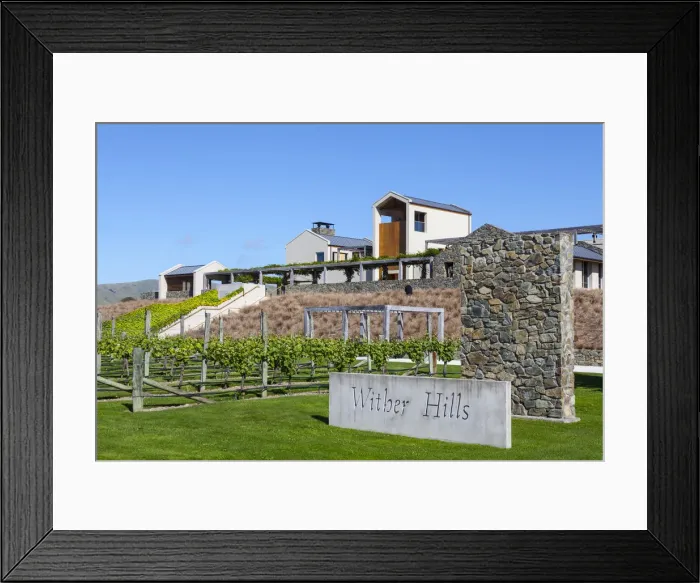 Framed Print : Wither Hills Vineyard, Blenheim, Marlborough, South Island, New Zealand Framed Print : Wither Hills Vineyard, Blenheim, Marlborough, South Island, New Zealand