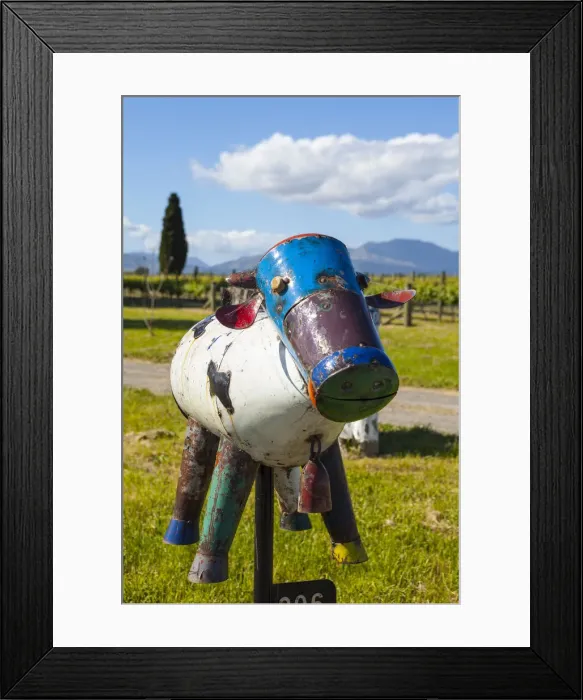Framed Print : Rural letter box, Blenheim, Marlborough, South Island, New Zealand Framed Print : Rural letter box, Blenheim, Marlborough, South Island, New Zealand