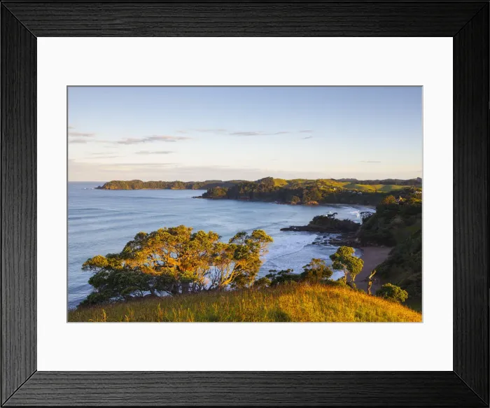 Framed Print : Elevated View over Daisy Bay, Tutukaka Coast, Northland, North Island, New Zealand Framed Print : Elevated View over Daisy Bay, Tutukaka Coast, Northland, North Island, New Zealand